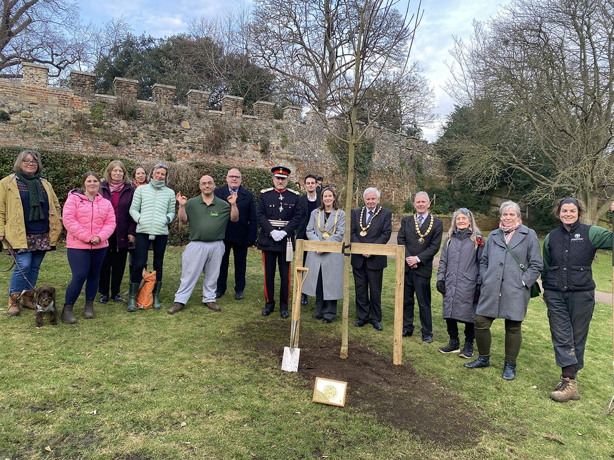 King’s tree planted in the grounds of Hertford Castle to mark Coronation